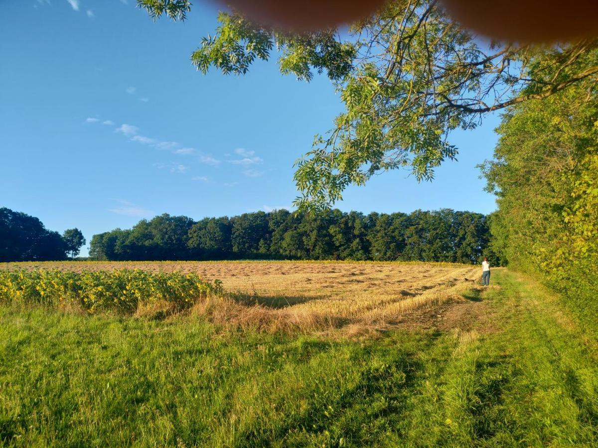 Haus Ringgau - Urlaub, Gemeinschaft Und Erlebnis Im Herzen Von Deutschland Herleshausen Exterior foto