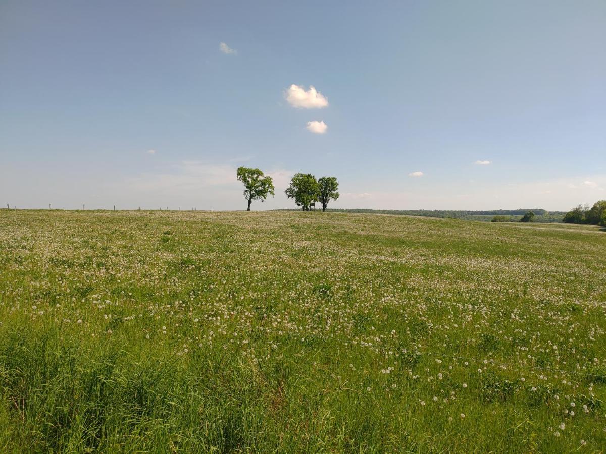 Haus Ringgau - Urlaub, Gemeinschaft Und Erlebnis Im Herzen Von Deutschland Herleshausen Exterior foto